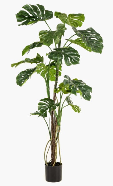 Künstliche Graspflanze mit schmalen Halmen und feinen Ähren.