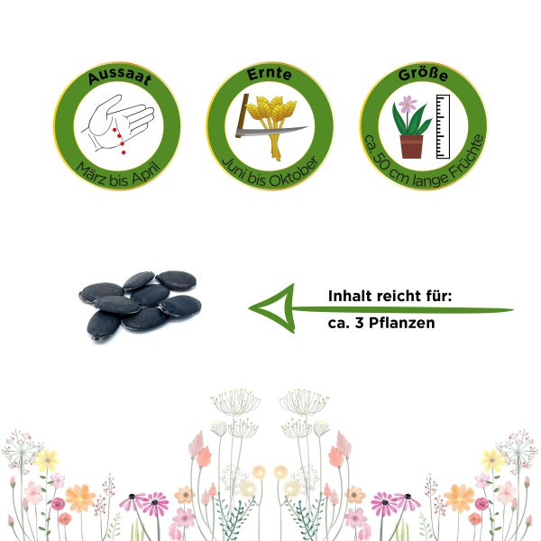 Schwammgurke Luffa Samen von Deine Gartenwelt