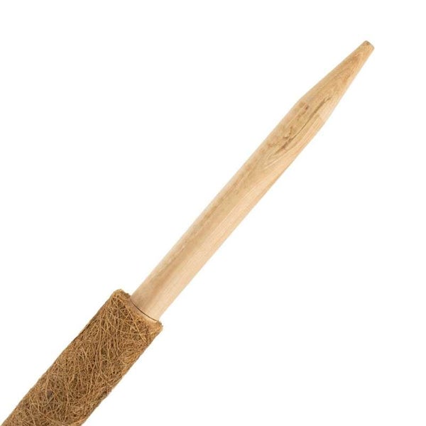 Wandleuchte mit zylindrischem Lampenschirm