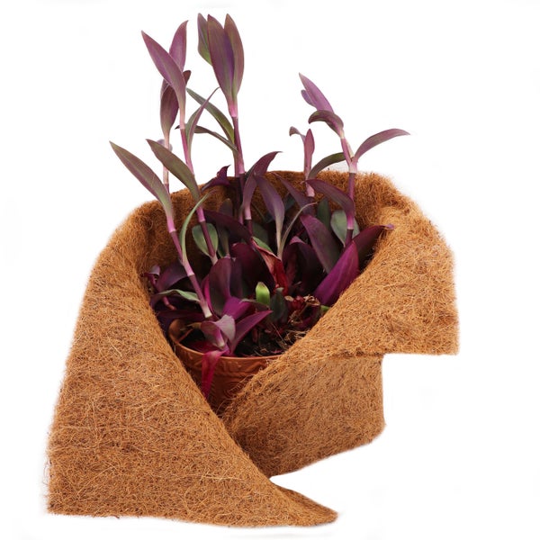26m Kokosmatte Winterschutz Böschungsmatte Kokosfasermatte 800g/m² 0,75m breit