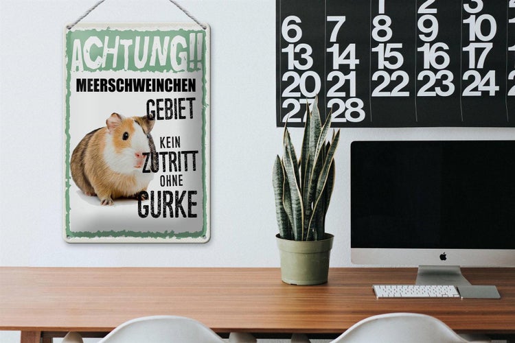 Blechschild Spruch 20x30cm Achtung Meerschweinchen kein Zutritt ohne Gurke
