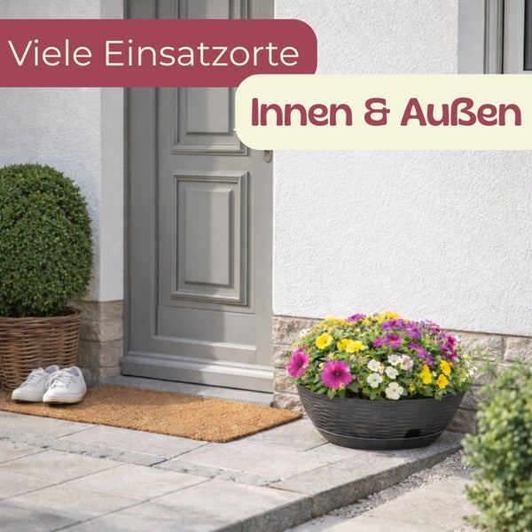 Dekorierter Eingangsbereich mit Haustür, Fußmatte, Blumentopf und Pflanzen