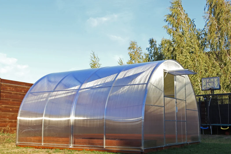 Großes Rundbogengewächshaus aus Polycarbonat mit Metallrahmen in einem Garten, mit geöffnetem Dachfenster und Tür.