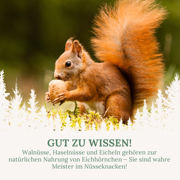 Orni Nüsse-Mix für Eichhörnchen 1kg