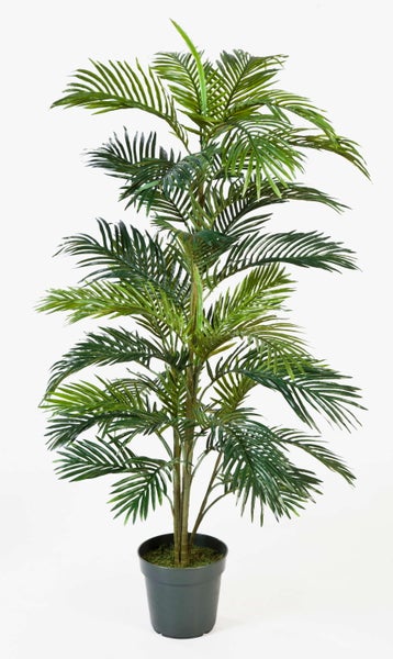 Künstliche Fittonia mit grün-weiß gemusterten Blättern und detailreichen Blattadern.