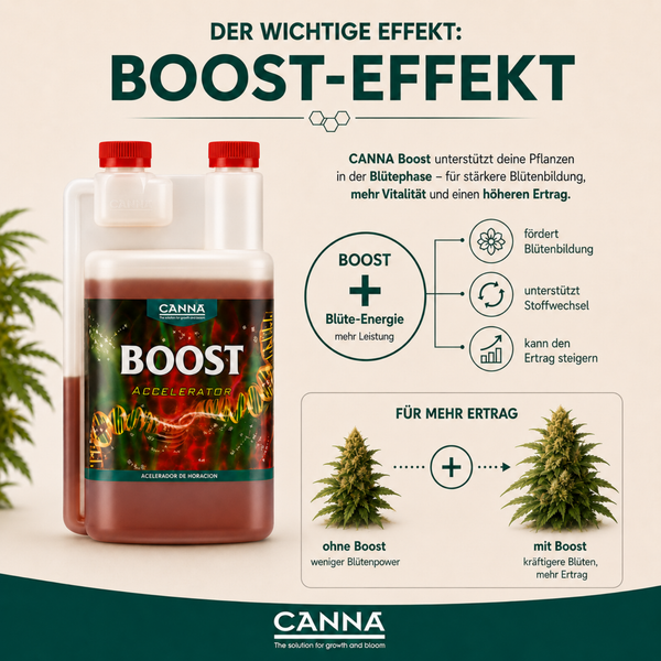 Canna Boost Pflanzendünger in der Flasche mit Informationen zur Anwendung und Wirkungsweise für eine verbesserte Blütenbildung und Ertragssteigerung.