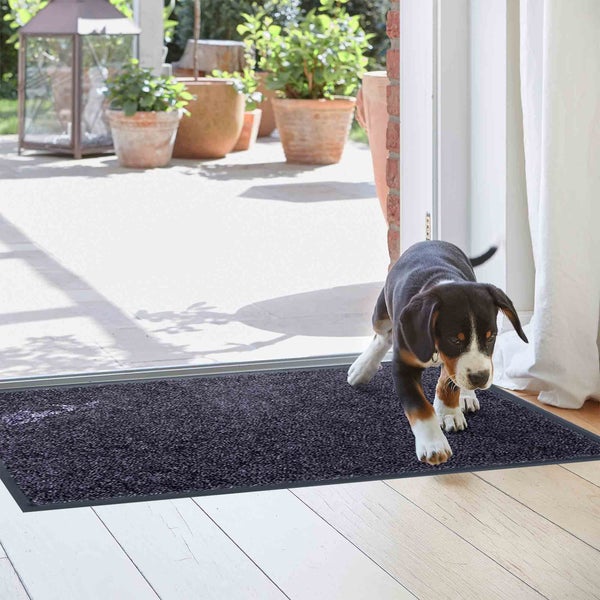 Schmutzfangmatte im Eingangsbereich mit Hund