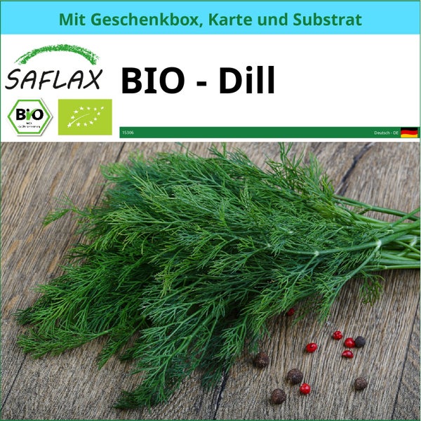 SAFLAX Geschenk Set - BIO - Dill - Anethum graveolens - 700 Samen - Mit Geschenkbox, Versandaufkleber, Geschenkkarte und Anzuchtsubstrat