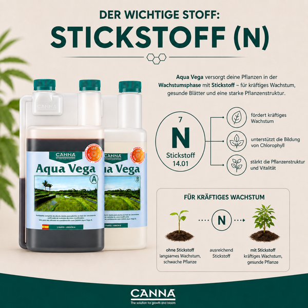Infografik zu CANNA Aqua Vega Dünger für die Wachstumsphase mit Informationen zur Wirkung von Stickstoff auf das Pflanzenwachstum.
