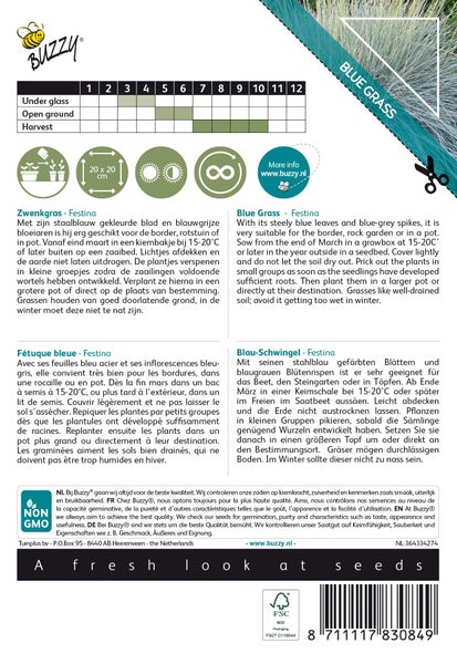 Buzzy Blue Grass Festina Produktverpackung mit Informationen zu Anbau und Eigenschaften