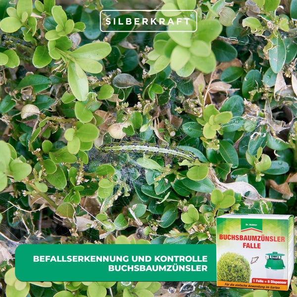 Buchsbaumzünsler-Falle mit 6 Pheromon-Dispensern – Trichterfalle zur Überwachung des Falterflugs – Früherkennung bei Zünslerbefall – Wiederverwendbar – Für Garten, Buchsbaum & Ziergehölze