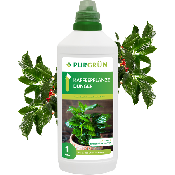 Purgrün Kaffeepflanze-Dünger 1 Liter