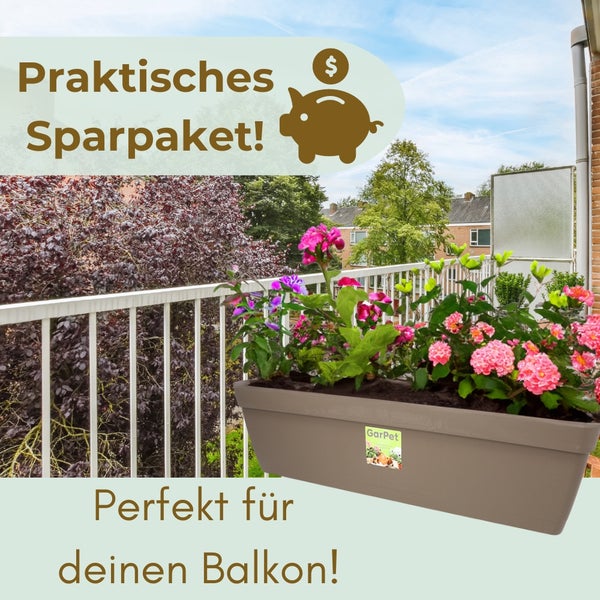 Blumenkasten mit verschiedenen Blumen auf einem Balkon. Praktisches Sparpaket.