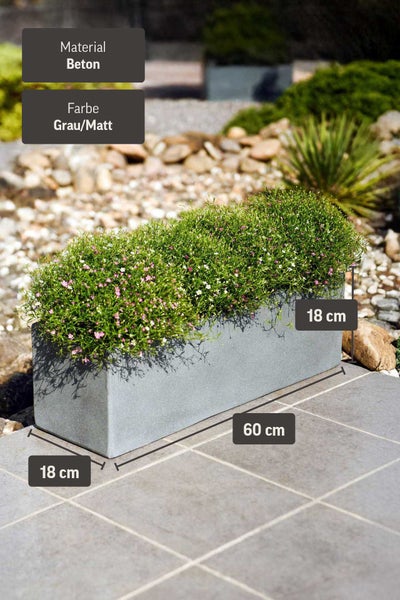 Rechteckiger Pflanzkasten aus mattem grauem Beton mit Blumen, Maße 60 mal 18 mal 18 Zentimeter.
