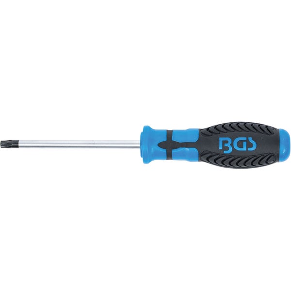 BGS Schraubendreher T-Profil (für Torx) T30 Klingenlänge 100 mm - 4922