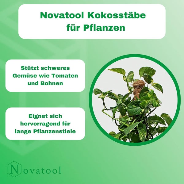 Novatool Kokosstab als Rankhilfe für Pflanzen zur Stabilisierung langer Stiele und schweren Gemüses.