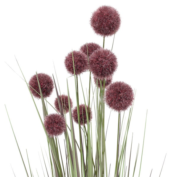 FRANK FLECHTWAREN | Topfpflanze Allium, KUNSTSTOFF, H: 90 cm