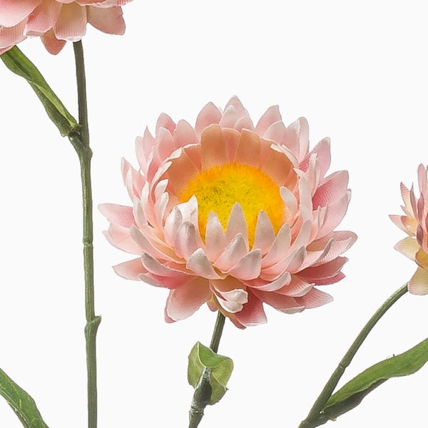 Künstliche Strohblume in Rosa mit grünem Stiel und Blättern.