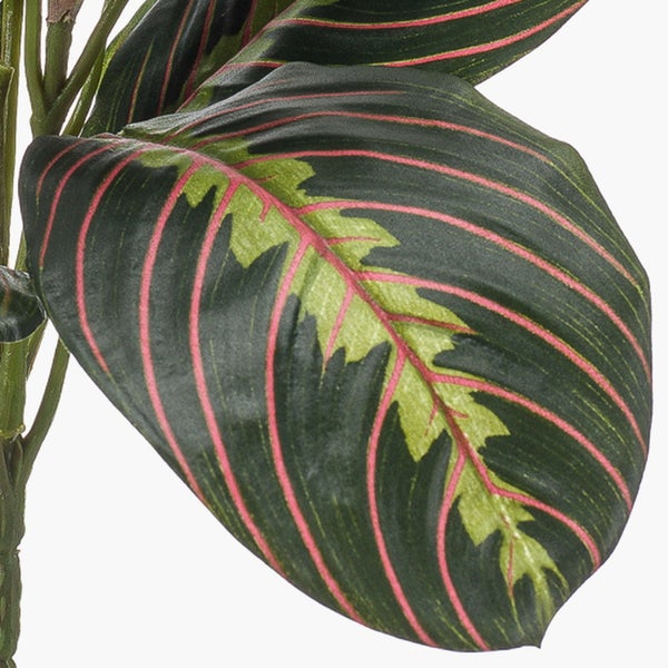 Nahaufnahme eines künstlichen Blattes einer Calathea mit markanter Musterung und rosafarbenen Blattadern.