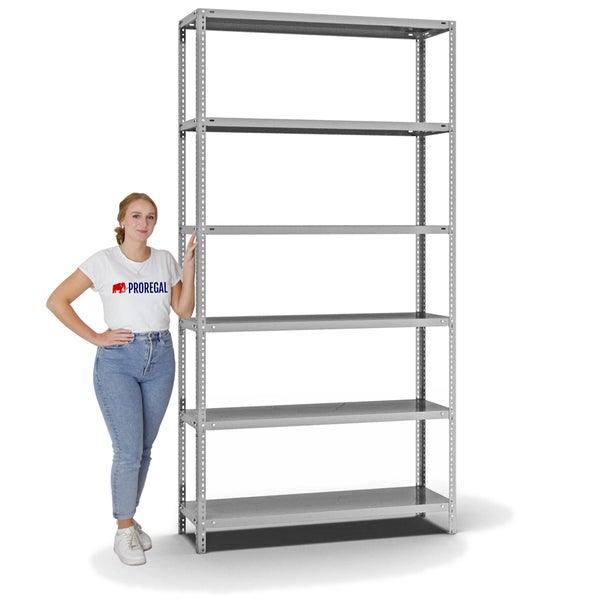 PROREGAL Fachbodenregal Schraubsystem Light-Duty Grundregal HxBxT 250 x 130 x 40 cm 6 Ebenen Fachlast 125 kg Beidseitig Nutzbar Verzinkt