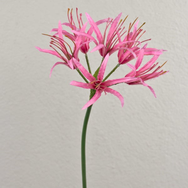 Künstliche Nerine Blume mit rosa Blüten und grünem Stängel.
