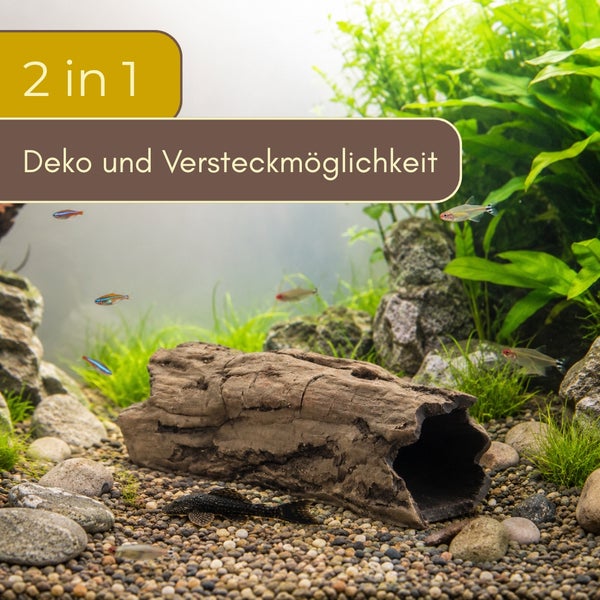 Aquariumdekoration als hohler Baumstamm in einem hellen, bepflanzten Aquarium mit Fischen und Kies, zwei in eins Dekoration und Versteckmöglichkeit.