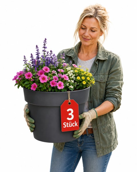 Eine Frau hält einen großen runden Pflanztopf mit verschiedenen blühenden Sommerblumen im Dreierpack.