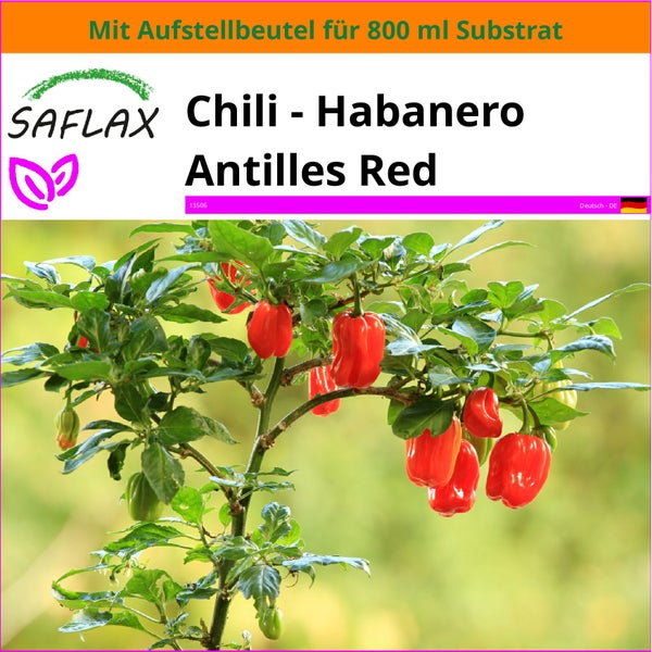 SAFLAX Garden in the bag - Chili - Habanero Antilles Red - Capsicum chinense - 10 Samen - Mit Anzuchtsubstrat im praktischen, selbst aufstellenden Beutel