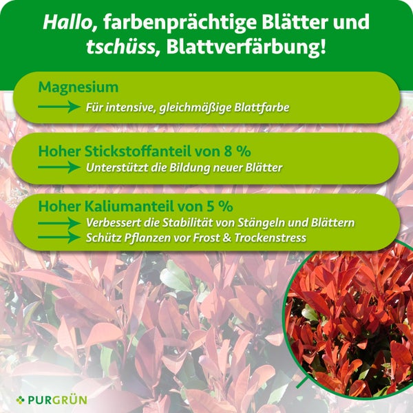 Infografik zum Purgruen Pflanzenduenger fuer gesunde Blattfarbe mit Magnesium Stickstoff und Kalium fuer eine starke und widerstandsfaehige Pflanze