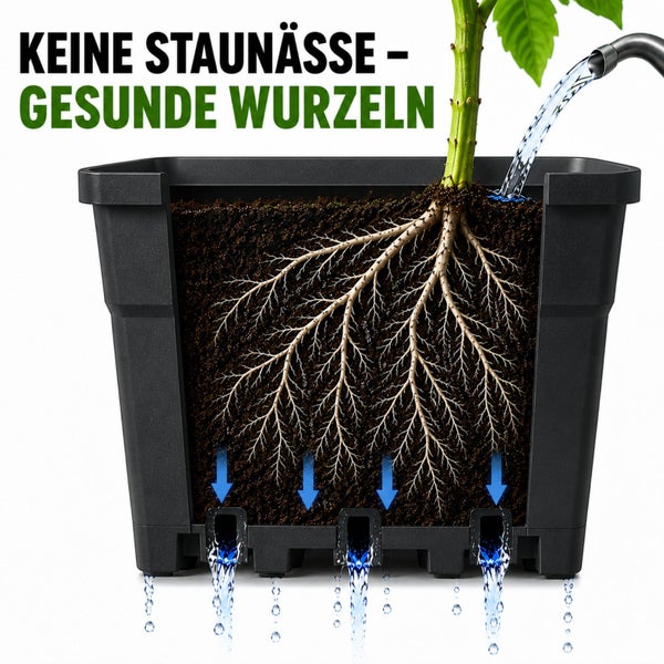 Querschnitt eines Pflanztopfes mit Wasserablauf zur Vermeidung von Staunässe für gesunde Wurzeln.