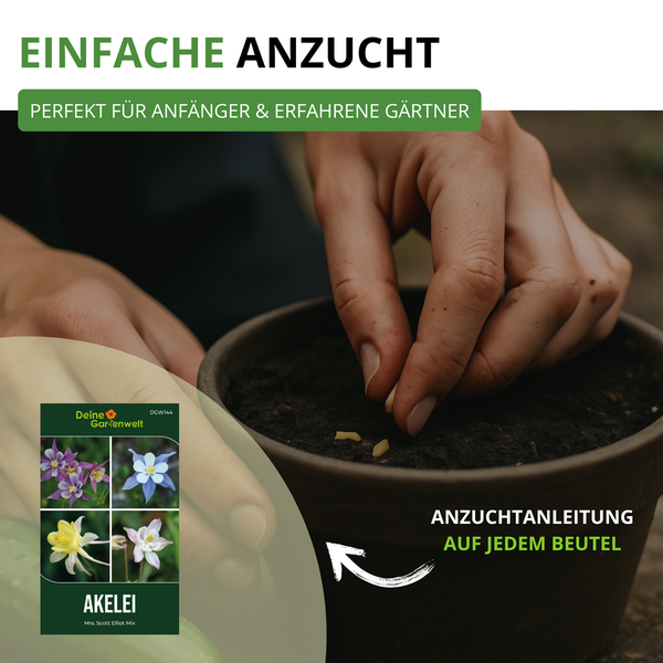 Einfache Anzucht von Akelei für Anfänger und erfahrene Gärtner, inklusive Anzuchtanleitung auf jeder Packung.