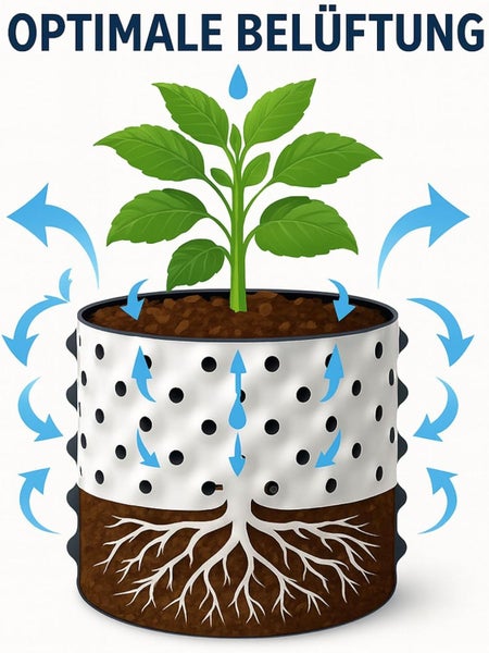 Illustration einer Pflanze in einem belüfteten Pflanztopf mit Pfeilen, die den Luftstrom zu den Wurzeln zeigen. Optimale Belüftung.