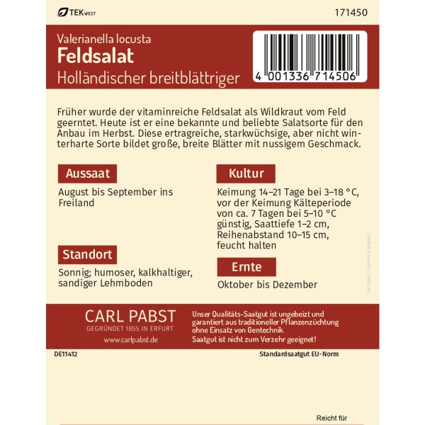 Feldsalat starkwüchsig & breitblättrig Holländischer breitblättriger Samen von Pabst Keimkraft