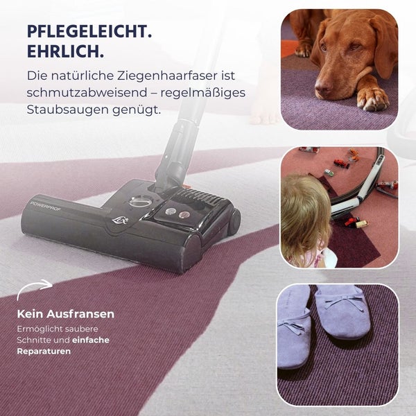 Staubsauger auf einem gestreiften Ziegenhaar-Teppich mit Detailansichten von Hund, spielendem Kind und Hausschuhen zur Illustration der Pflege.