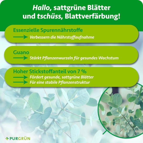 Helle Infografik von Purgrün zu Düngervorteilen: Guano und 7 Prozent Stickstoff für gesundes Blattwachstum. Purgrün Logo.
