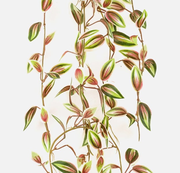 Detailaufnahme einer künstlichen Monstera-Pflanze mit großen grünen Blättern und einem strukturierten Stamm.