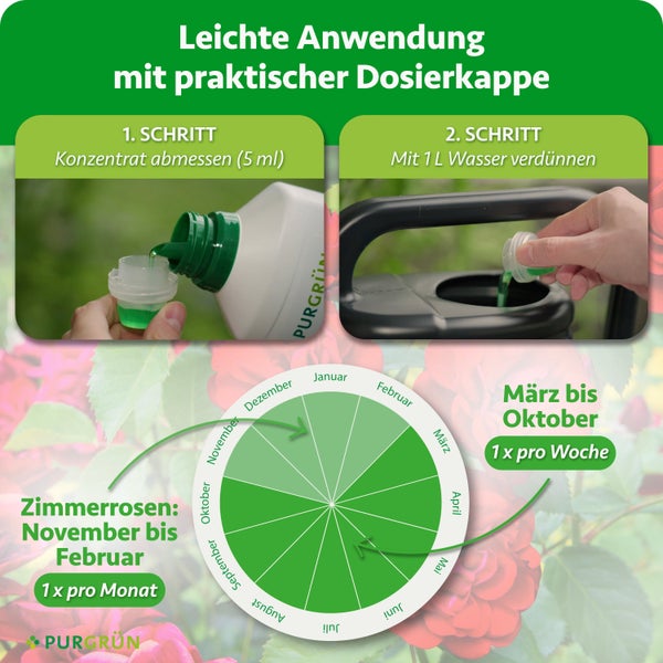 Anleitung zur Anwendung von Purgruen Rosenduenger Konzentrat mit Dosierkappe und jahreszeitlichem Düngekalender für Rosen.