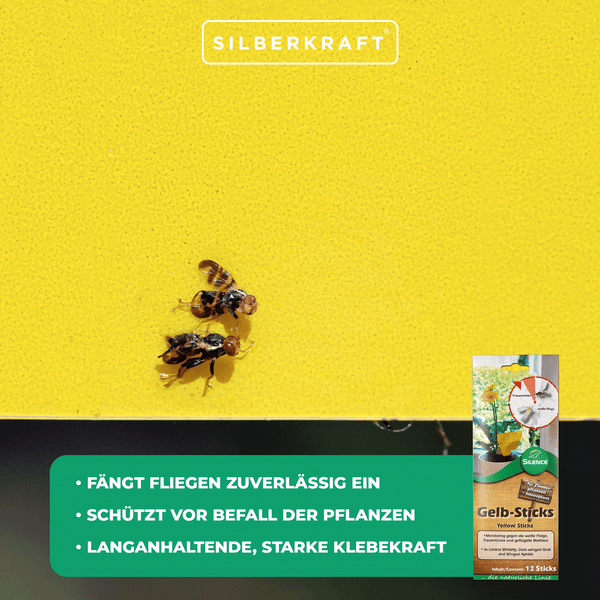 Gelb-Sticks – Effektive Klebefalle für Zimmer- & Wintergartenpflanzen