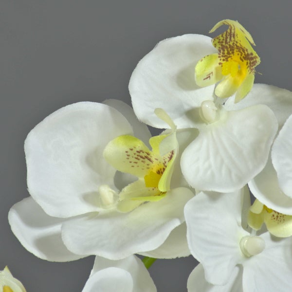 Künstliche Orchidee Phalaenopsis mit weißen Blüten und gelber Mitte.