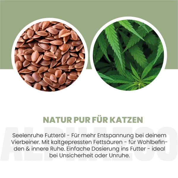 Illustration von Leinsamen und Hanfpflanze für Katzenfutter