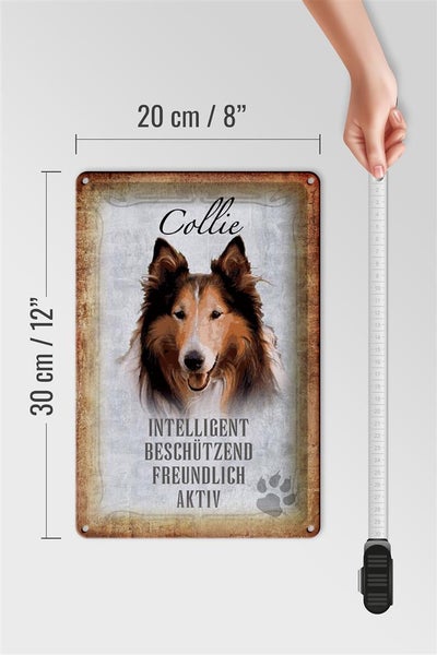 Blechschild Spruch 20x30cm Collie Hund freundlich Schild