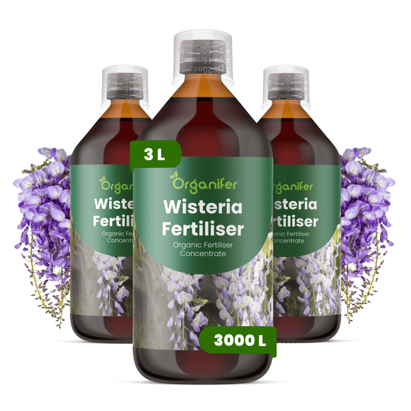 Drei Flaschen Organifer Wisteria Dünger, organisches Flüssigdünger-Konzentrat, 3 Liter für 3000 Liter Gießwasser.