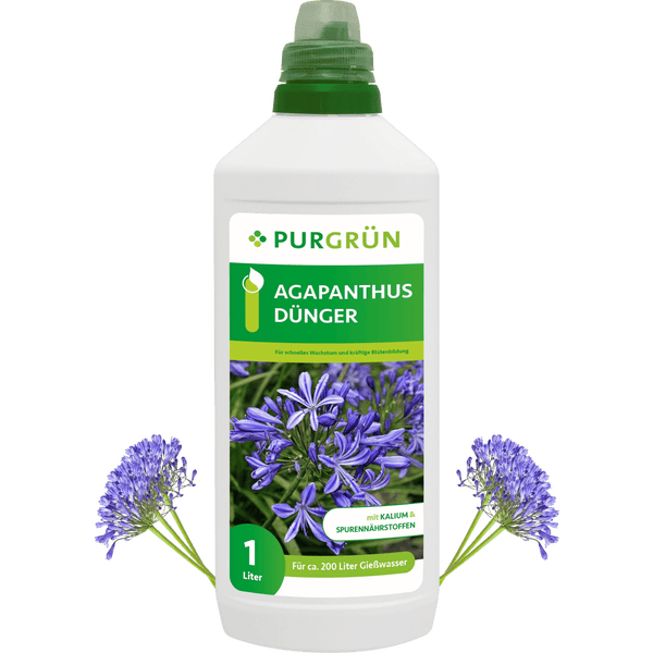 Purgrün Agapanthus-Dünger 1 Liter