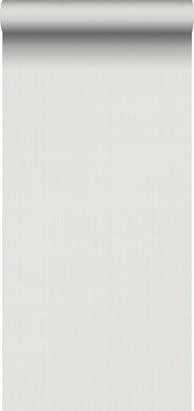 Sanders und Sanders Tapete Streifen Grau - 53 cm x 10.05 m - 640653