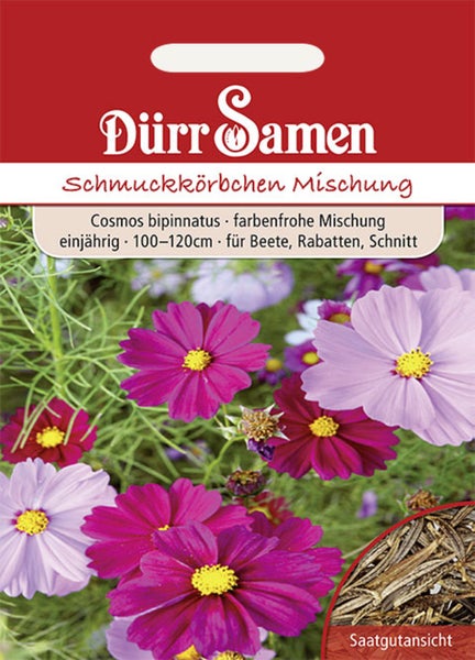 Dürr Samen Logo, Schmuckkörbchen Mischung, Cosmos bipinnatus, einjährige Blumenmischung für Beete und Schnitt, Höhe 100 bis 120 Zentimeter.