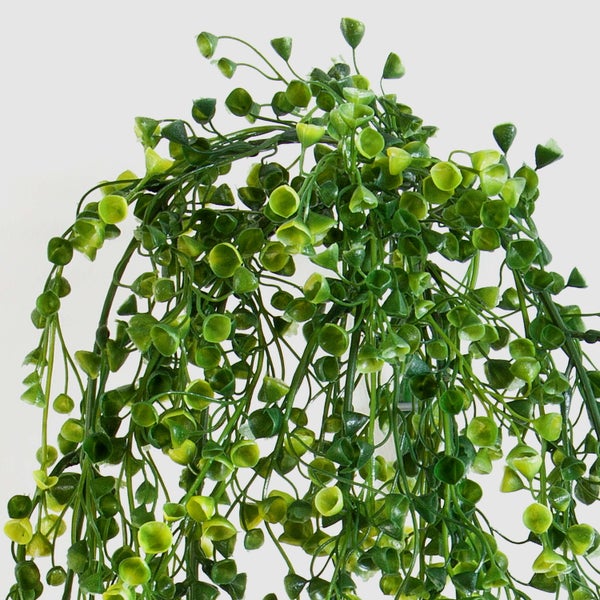 Künstliche Hängepflanze mit kleinen kelchförmigen grünen Blättern.