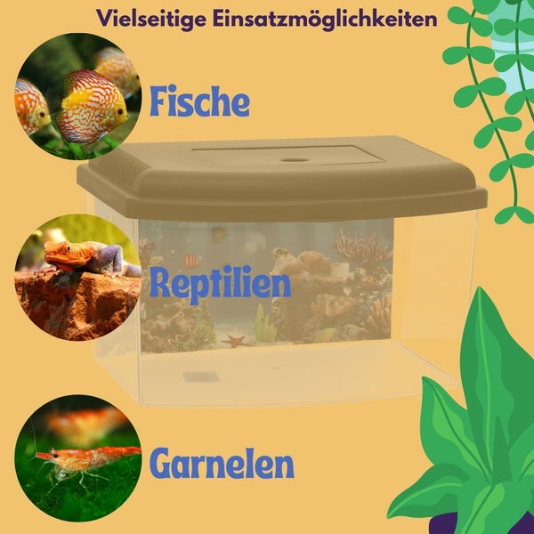 Vielseitig einsetzbares Terrarium für Fische, Reptilien und Garnelen