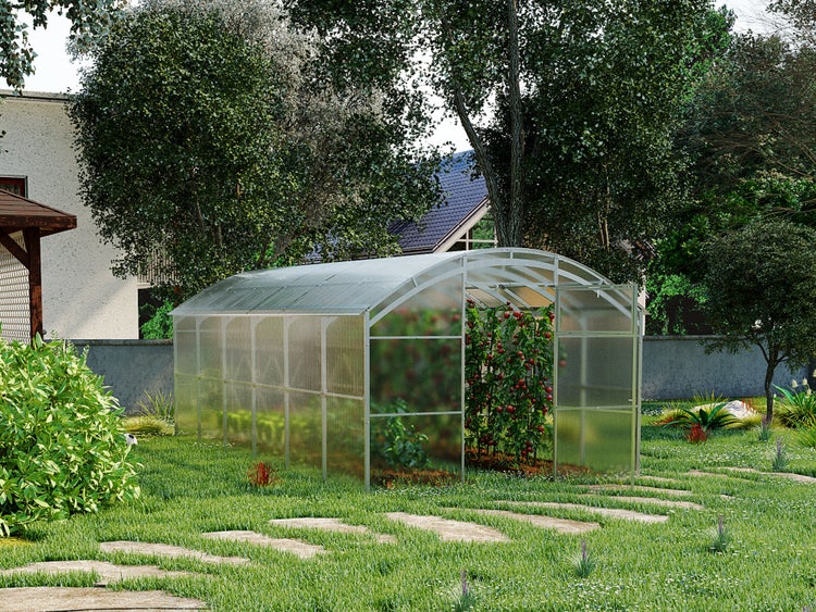 Gewächshaus im Garten mit Pflanzen