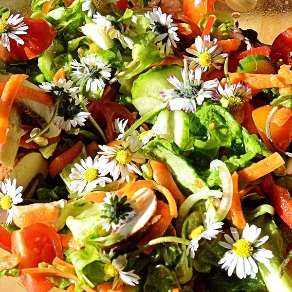 Frischer gemischter Salat mit Blattsalat, Gurken, Tomaten, Karotten, Pilzen und essbaren Gänseblümchen.