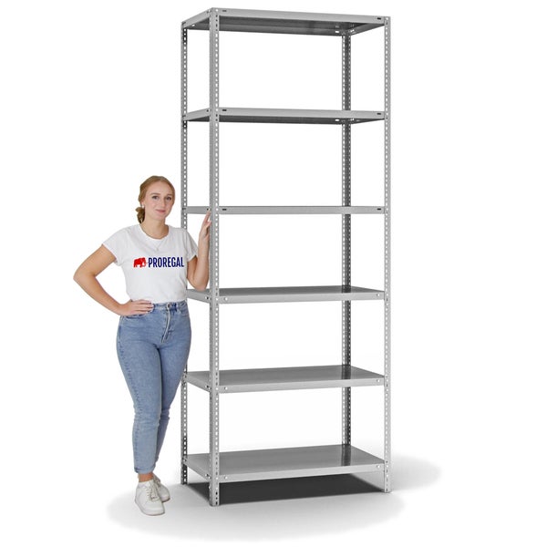 PROREGAL Fachbodenregal Schraubsystem Light-Duty Grundregal HxBxT 250 x 100 x 50 cm 6 Ebenen Fachlast 125 kg Beidseitig Nutzbar Verzinkt